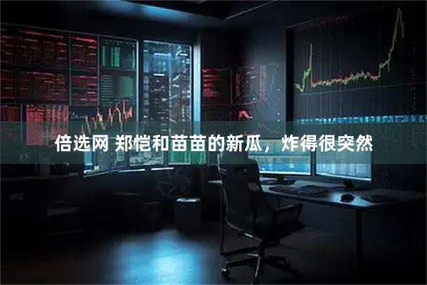 倍选网 郑恺和苗苗的新瓜，炸得很突然
